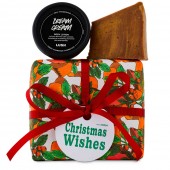 Christmas Wishes 
