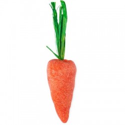 Baby Rainbow Carrot – Narandžasta