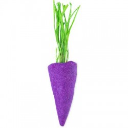Baby Rainbow Carrot – Ljubičasta