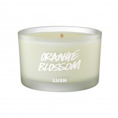 Orange Blossom