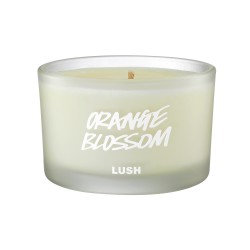 Orange Blossom